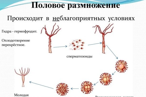 Кракен вход krakens13 at