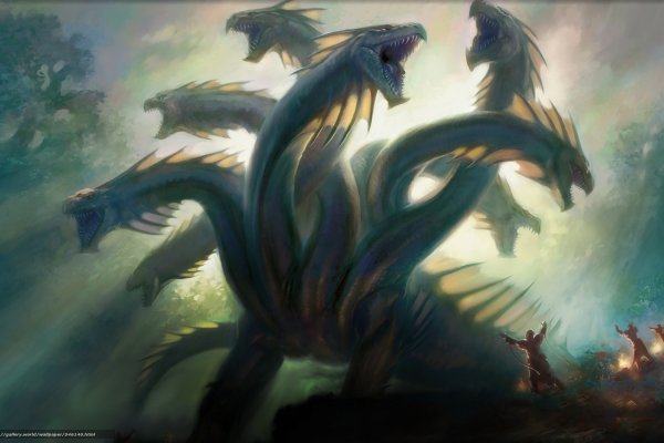 Kraken17 at