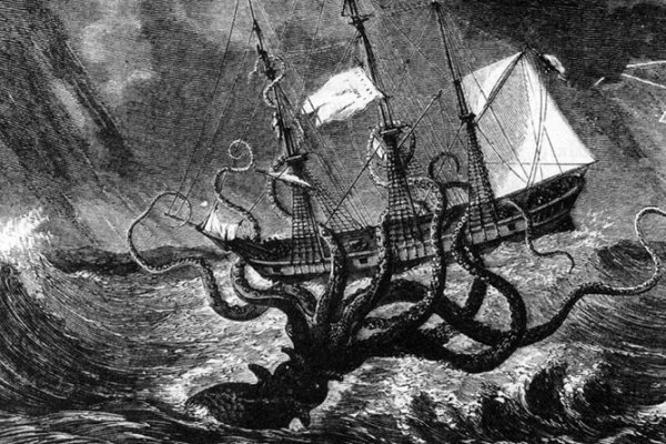 Kraken 20at net